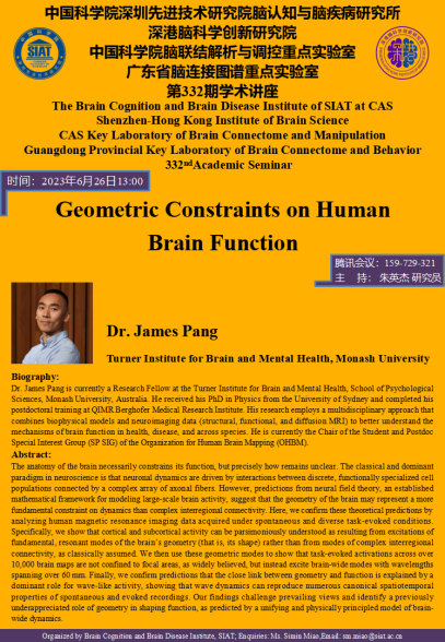 Geometric Constraints on Human  Brain Function